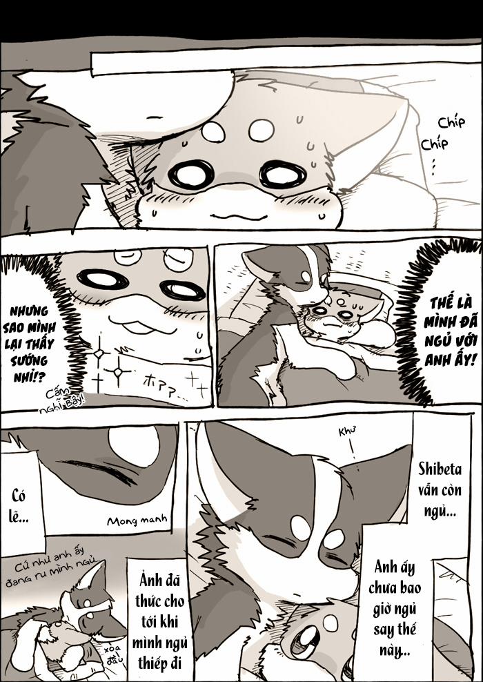 Helper Shibeta 3.5 trang 7