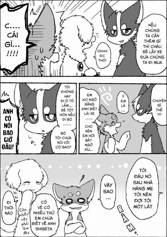 Helper Shibeta 3 trang 17