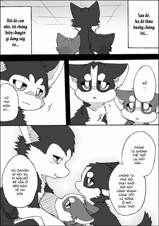 Helper Shibeta 4 trang 34