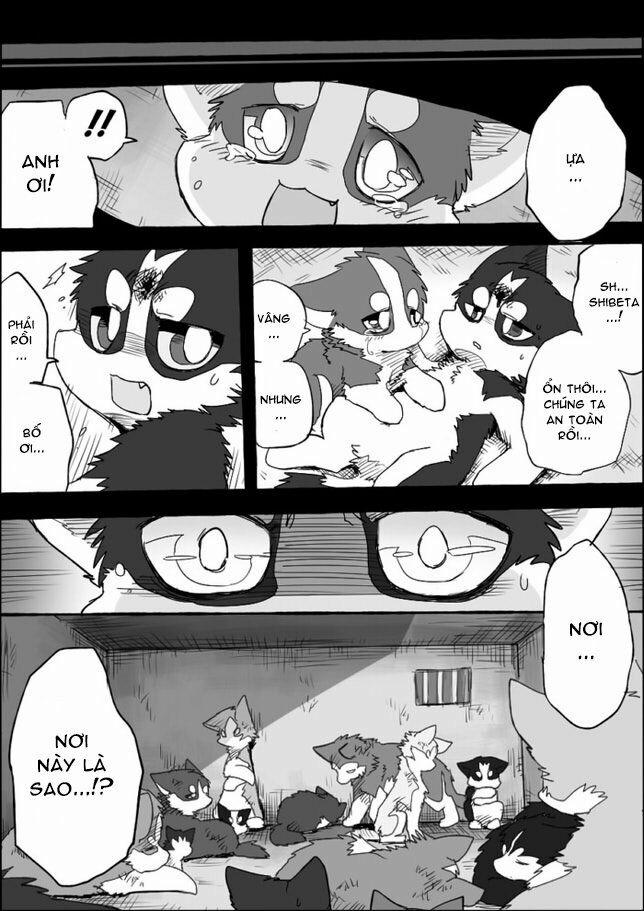 Helper Shibeta 4 trang 37