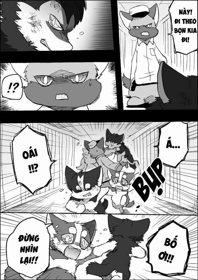 Helper Shibeta 4 trang 43