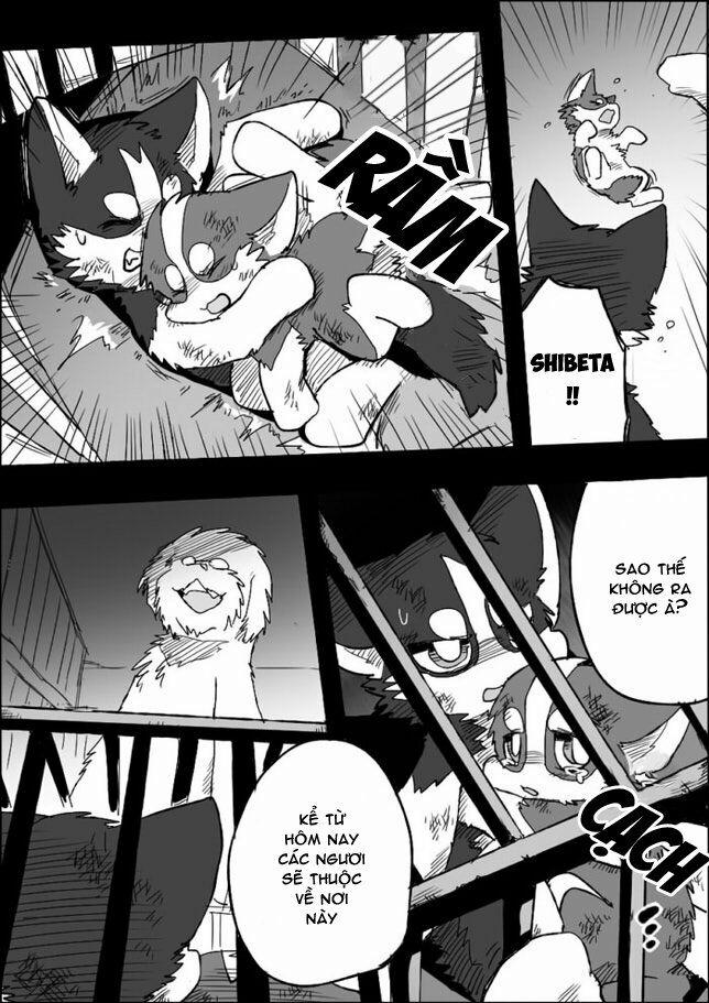 Helper Shibeta 5 trang 10