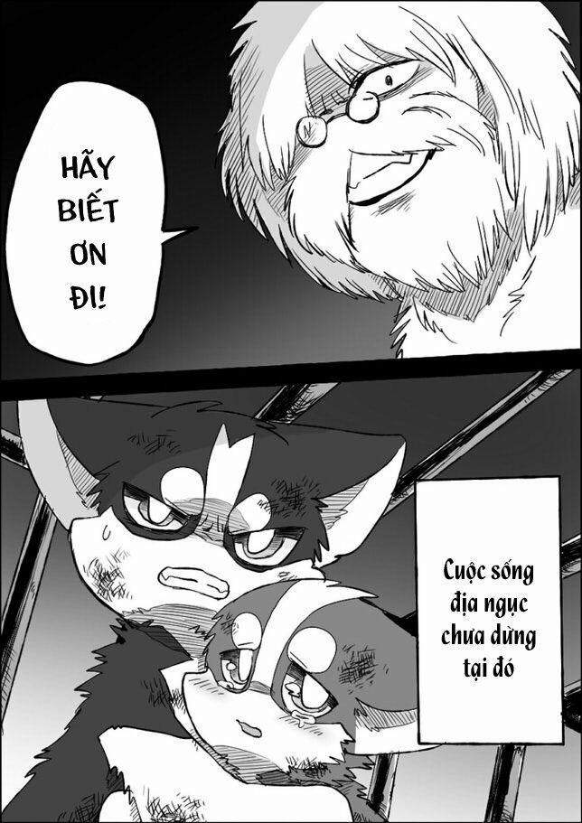 Helper Shibeta 5 trang 11