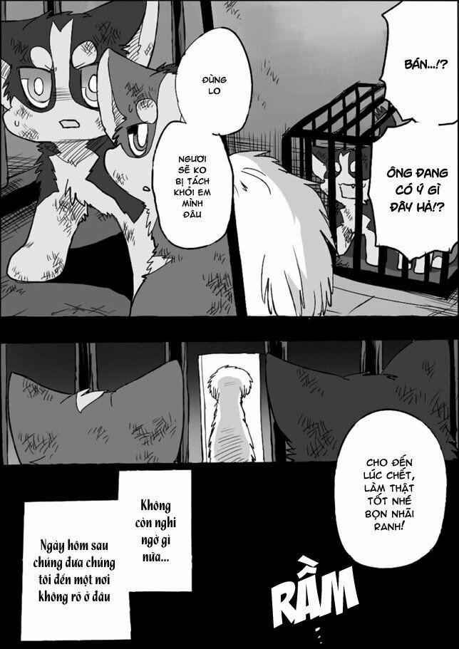 Helper Shibeta 5 trang 19