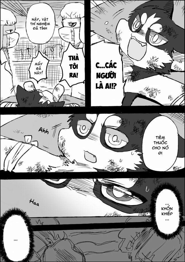 Helper Shibeta 5 trang 21