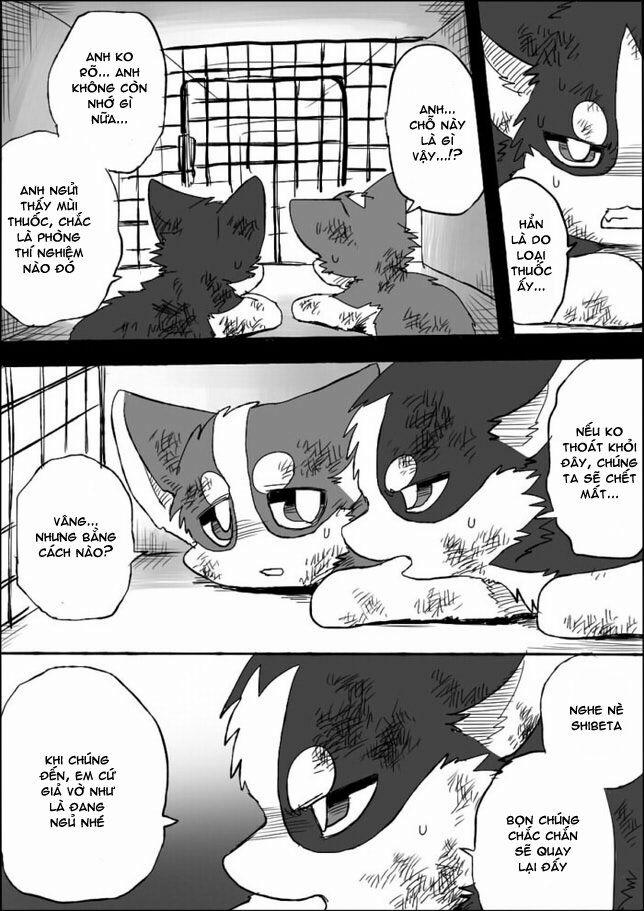 Helper Shibeta 5 trang 23