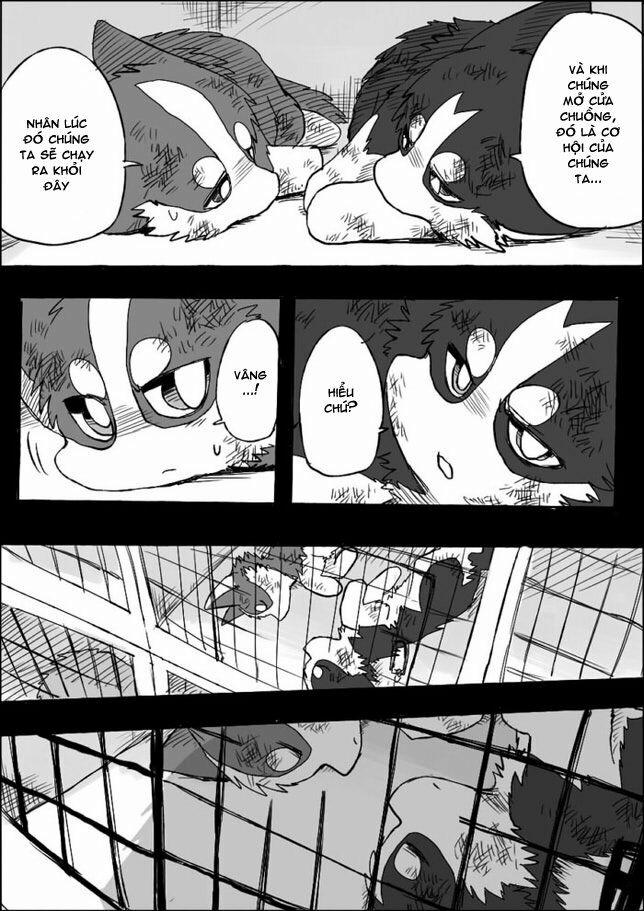 Helper Shibeta 5 trang 24