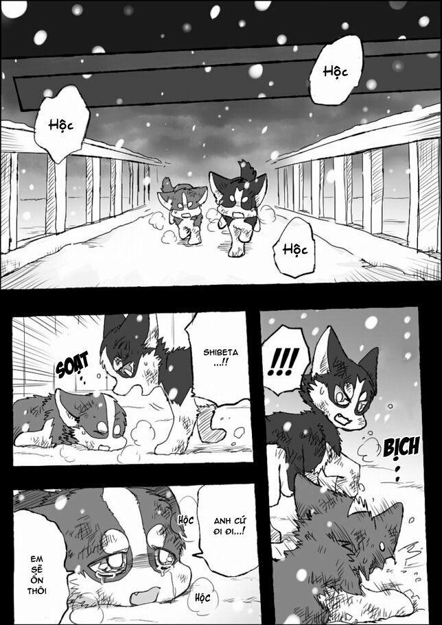 Helper Shibeta 5 trang 27