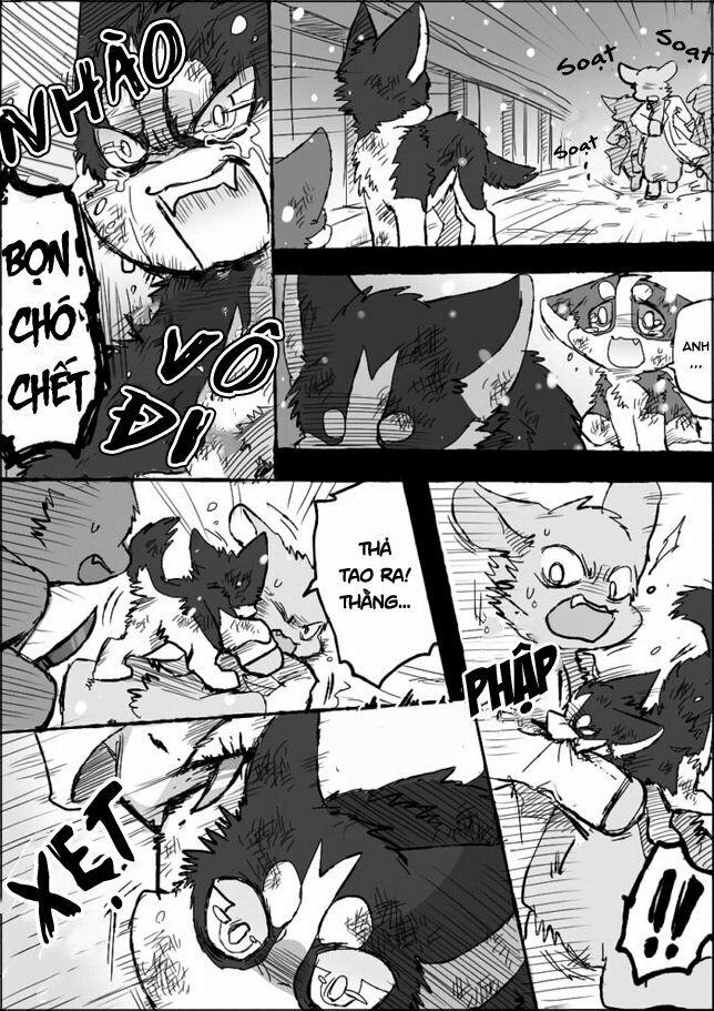 Helper Shibeta 5 trang 29