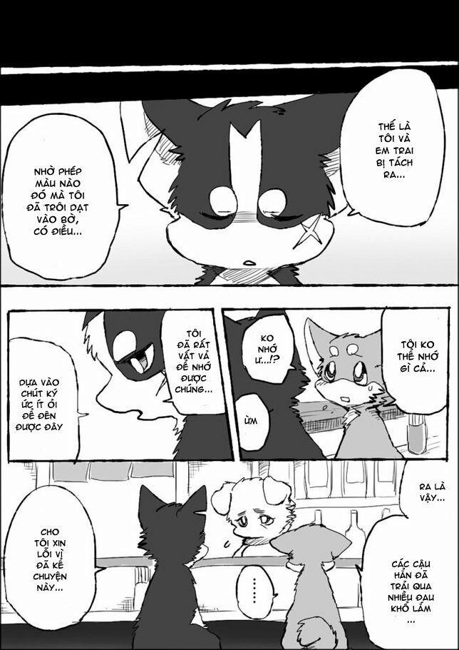 Helper Shibeta 5 trang 32