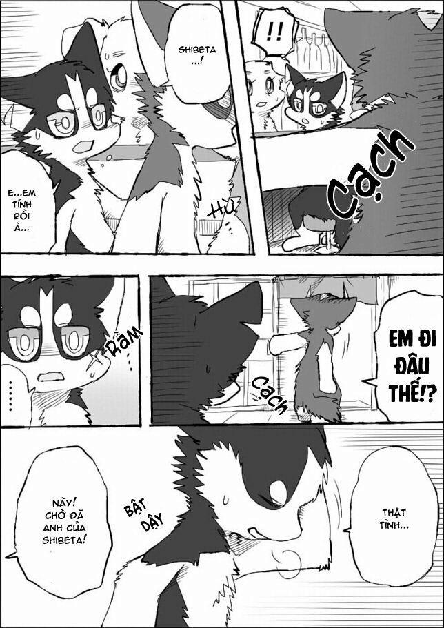 Helper Shibeta 5 trang 34