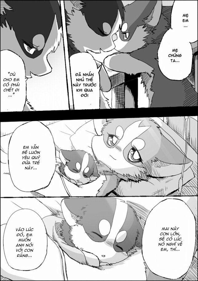 Helper Shibeta 5 trang 39