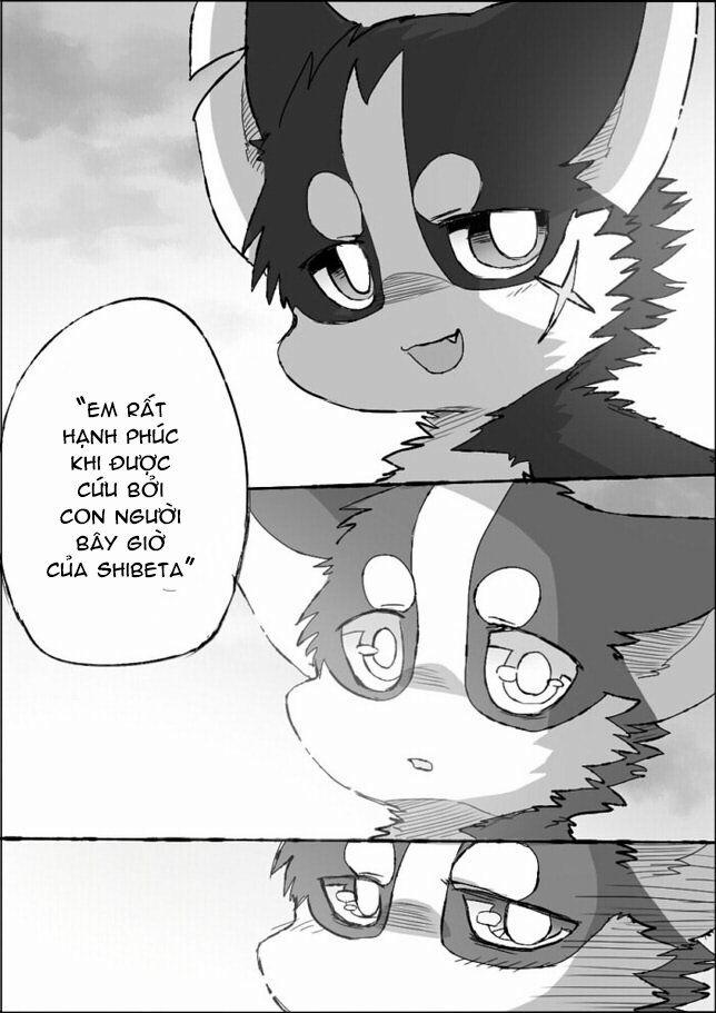 Helper Shibeta 5 trang 42