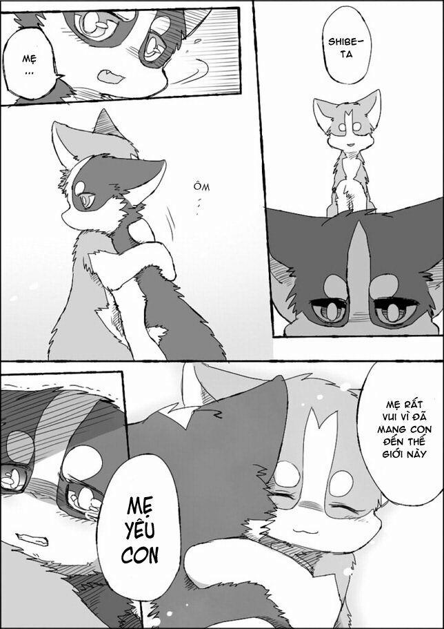 Helper Shibeta 5 trang 45