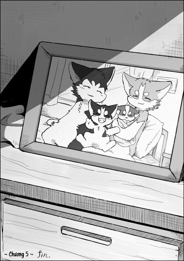 Helper Shibeta 5 trang 47