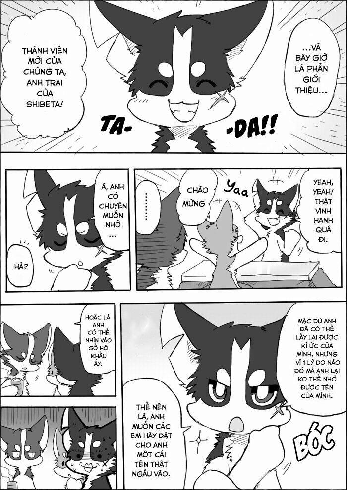 Helper Shibeta 6 trang 1