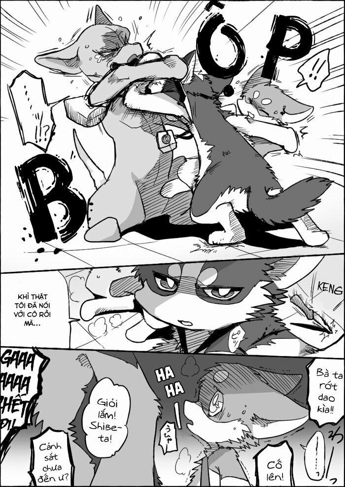 Helper Shibeta 6 trang 12