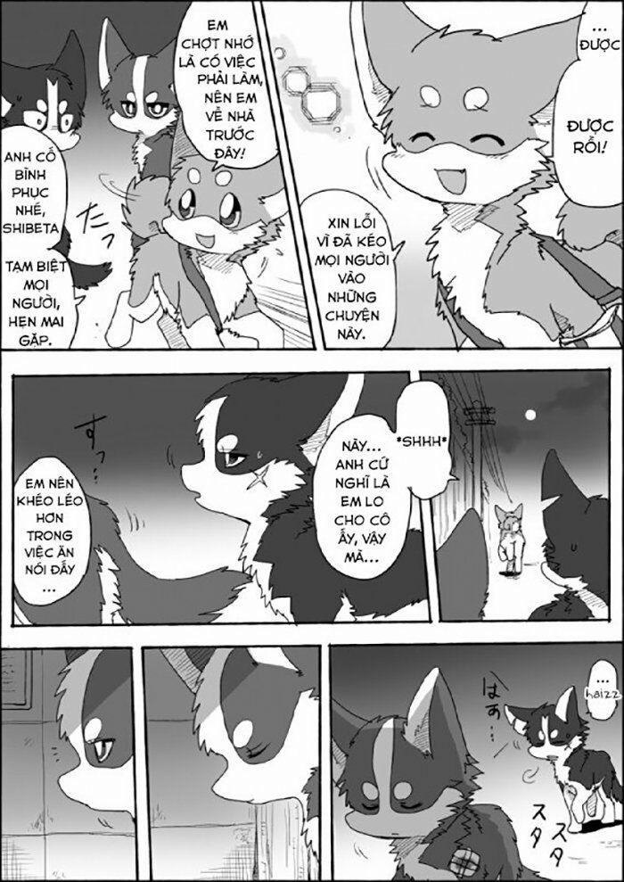 Helper Shibeta 6 trang 17