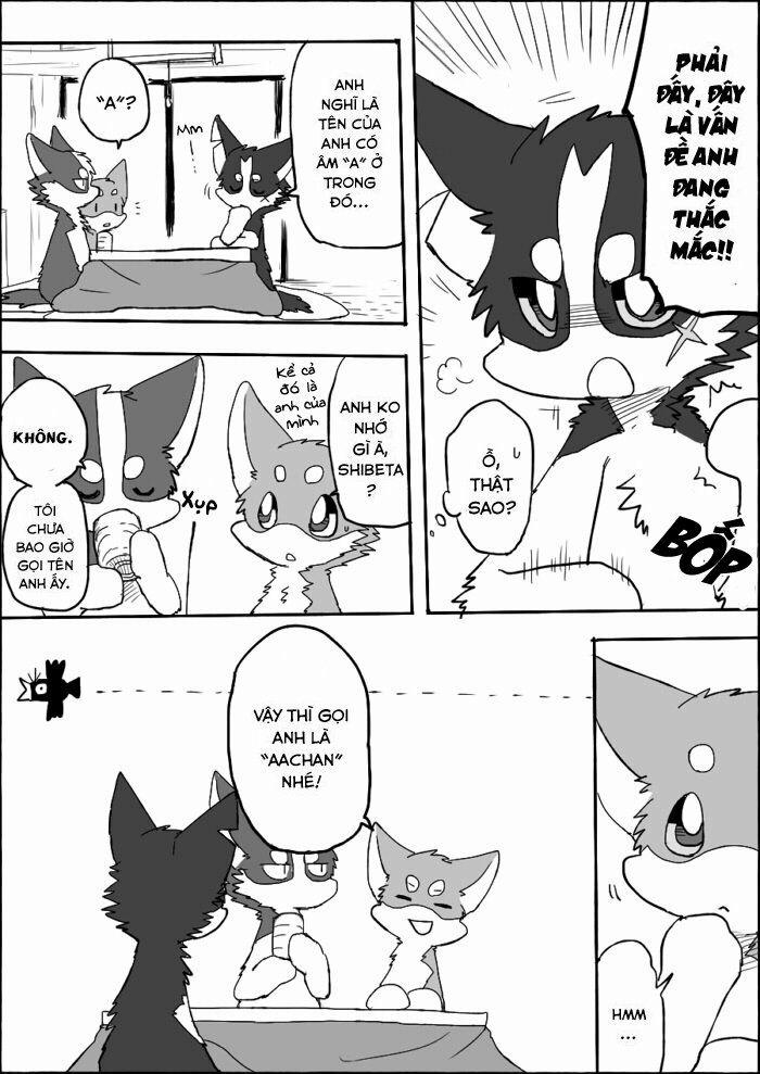 Helper Shibeta 6 trang 2