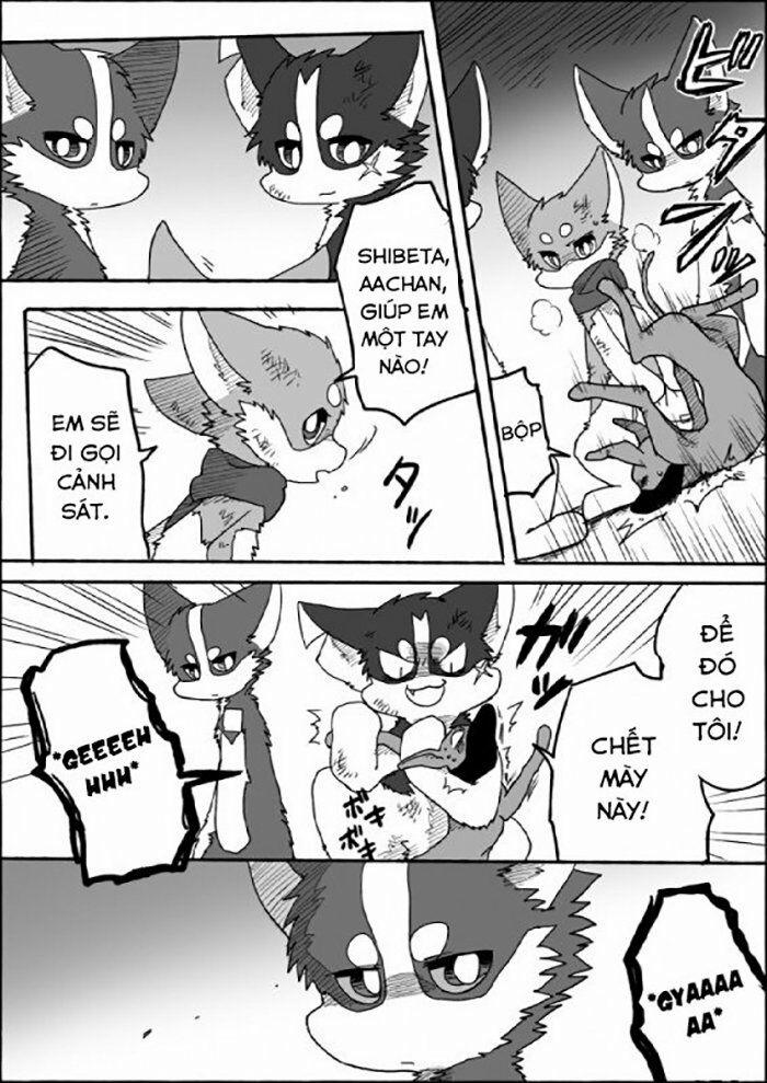 Helper Shibeta 6 trang 33