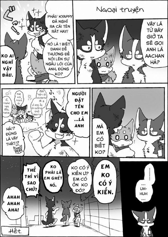 Helper Shibeta 6 trang 39