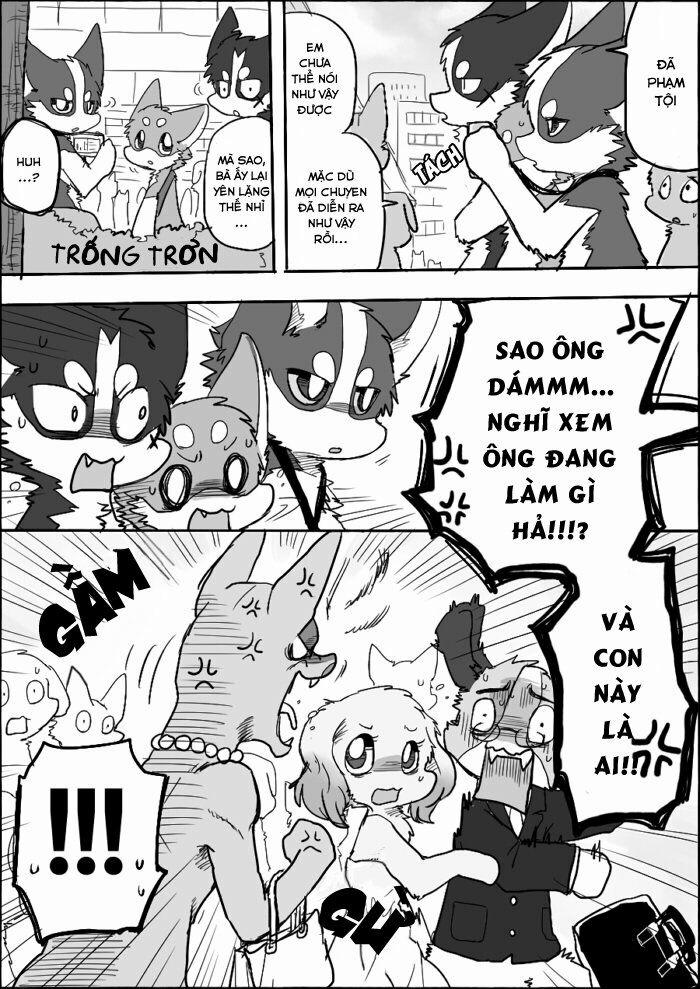 Helper Shibeta 6 trang 8