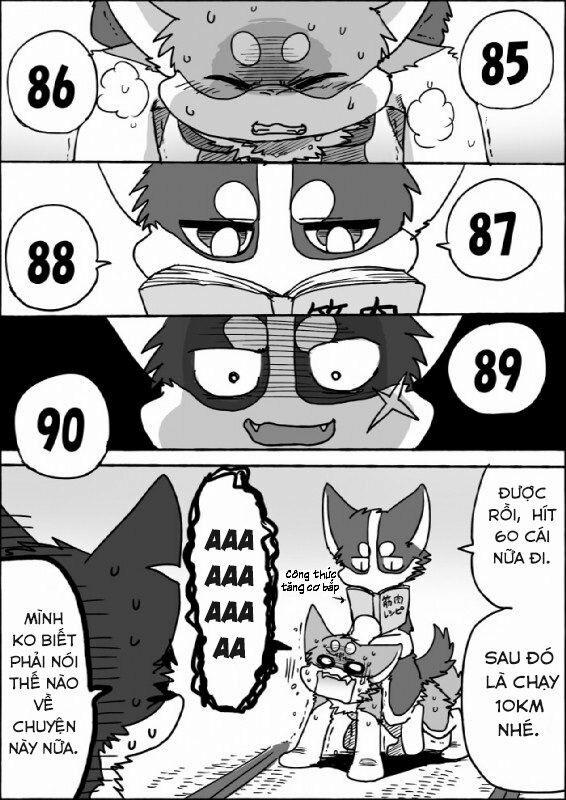 Helper Shibeta 7 trang 0