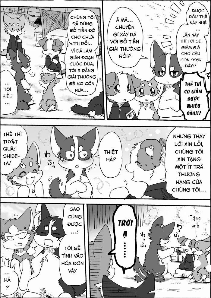 Helper Shibeta 7 trang 29