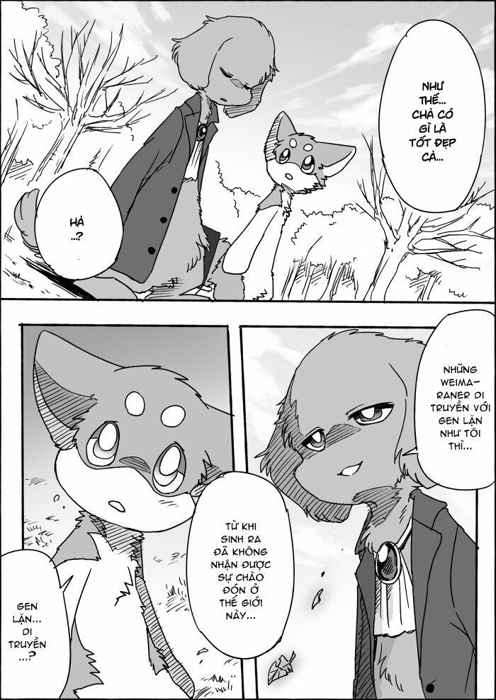 Helper Shibeta 8 trang 10