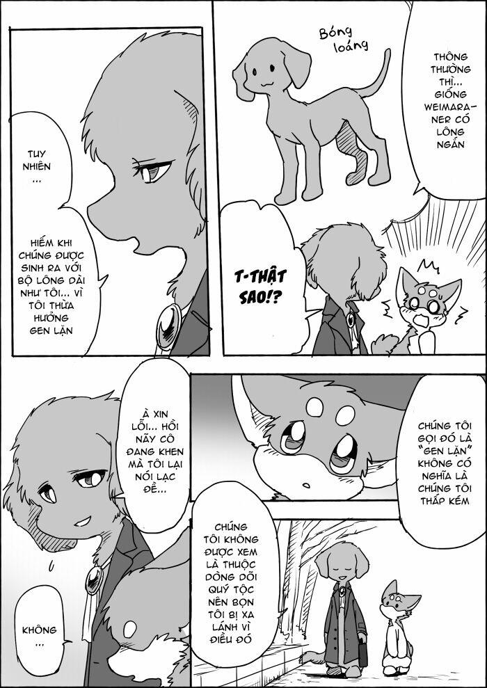 Helper Shibeta 8 trang 11