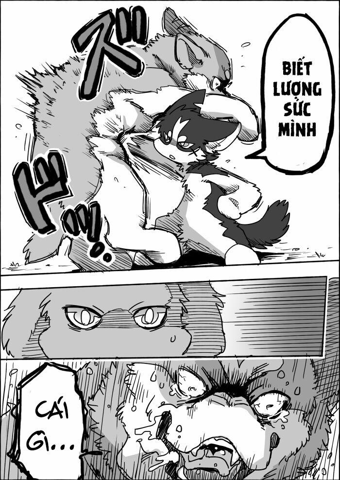 Helper Shibeta 8 trang 23