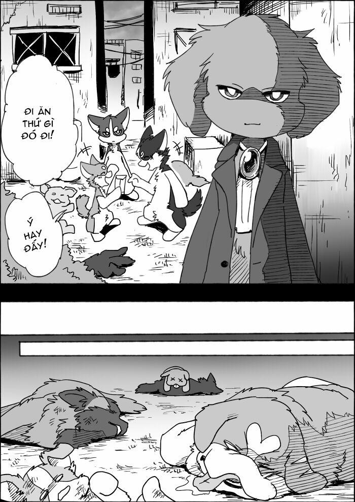 Helper Shibeta 8 trang 31