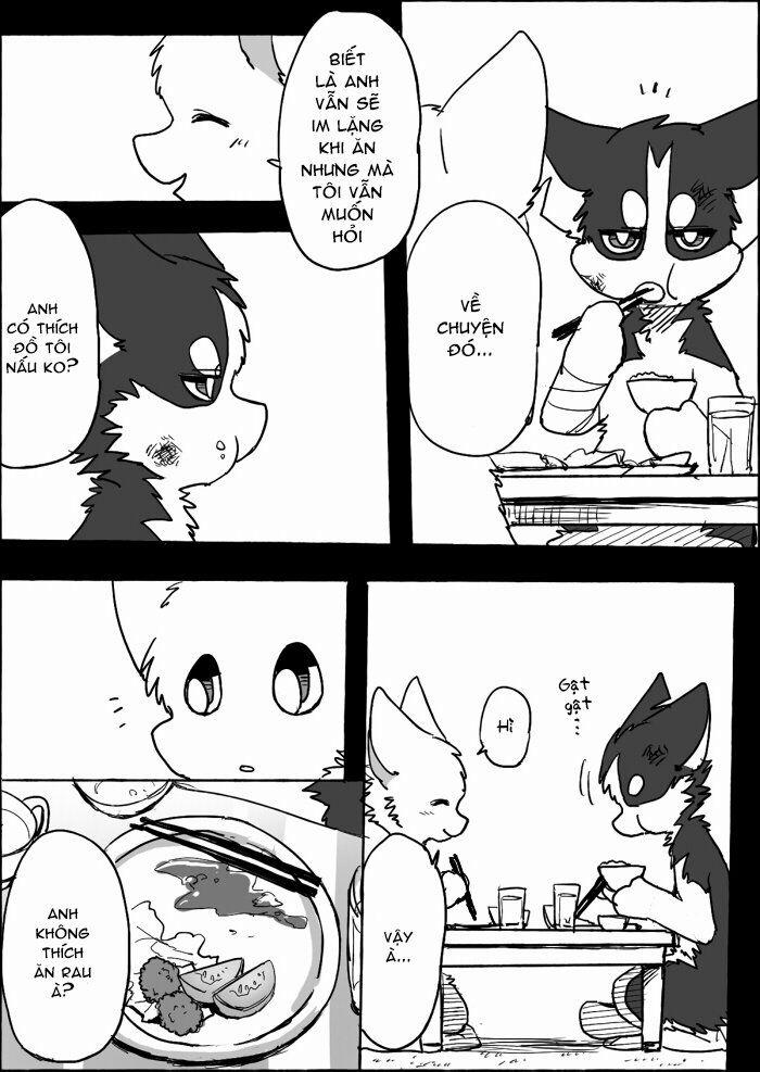 Helper Shibeta 9 trang 24