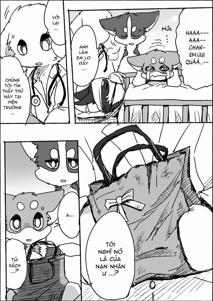 Helper Shibeta 9 trang 5