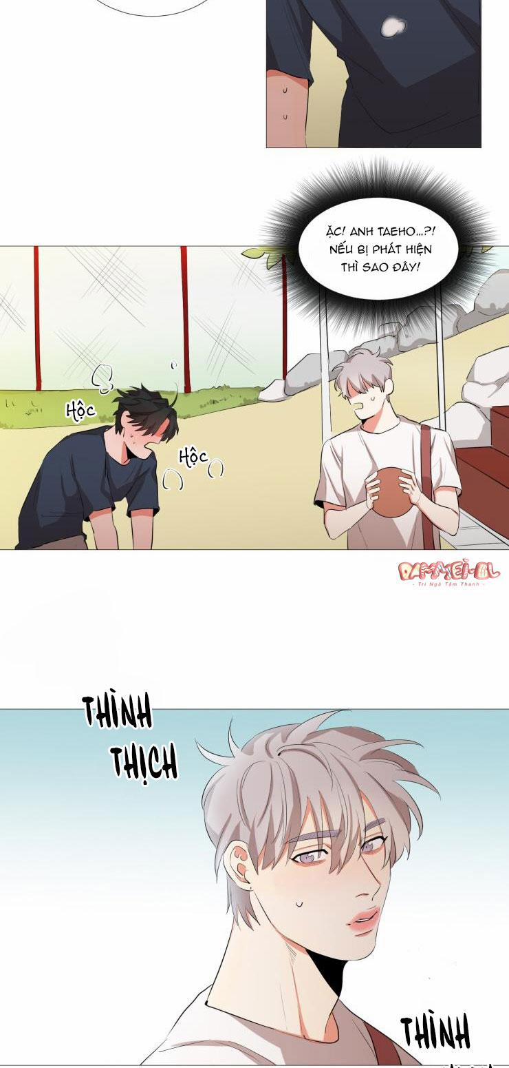 HẸN HÒ GIẤU MẶT 7 trang 20