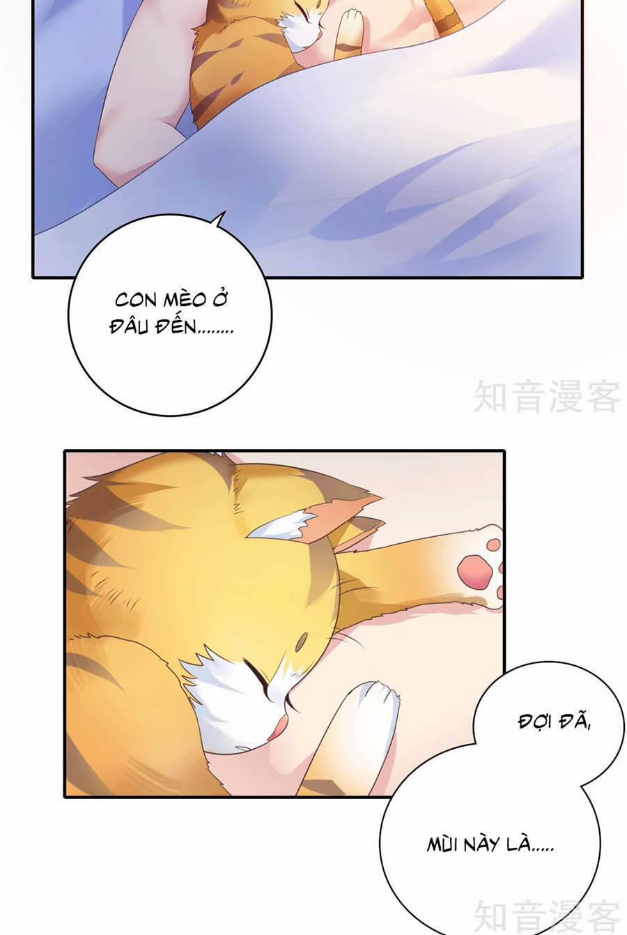 Hẹn Hò Siêu Tốc 17 trang 29