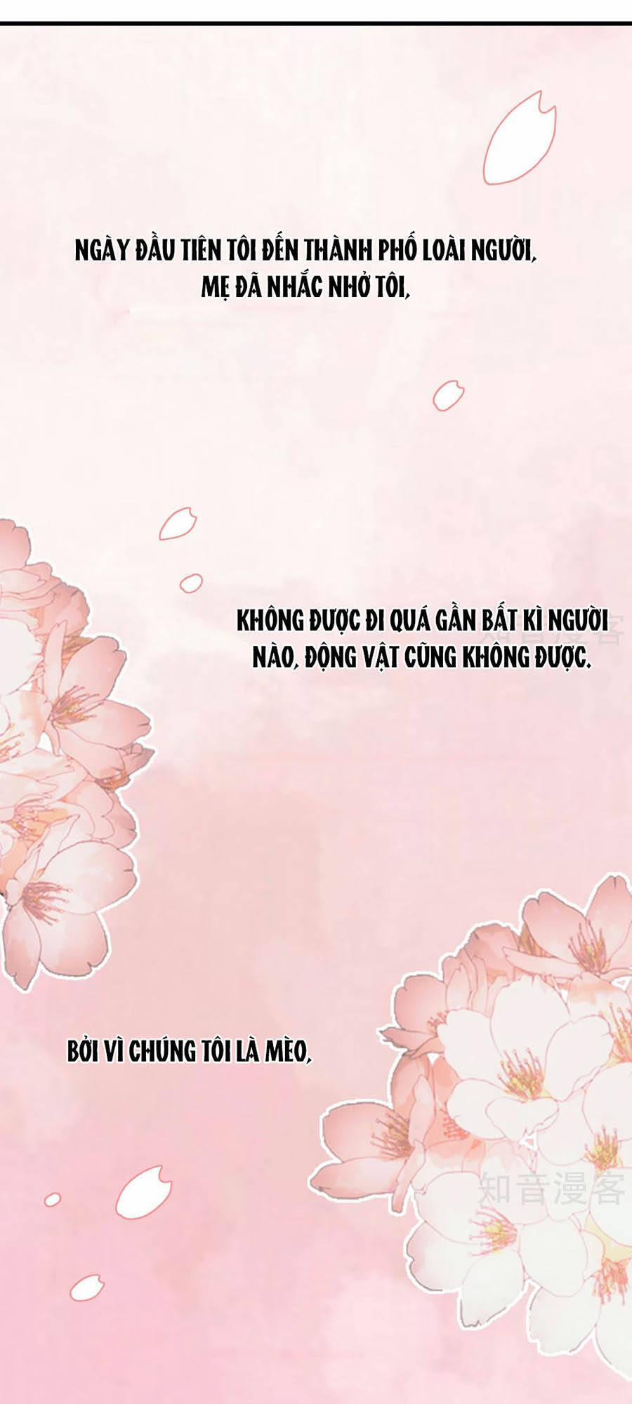 Hẹn Hò Siêu Tốc 20 trang 1