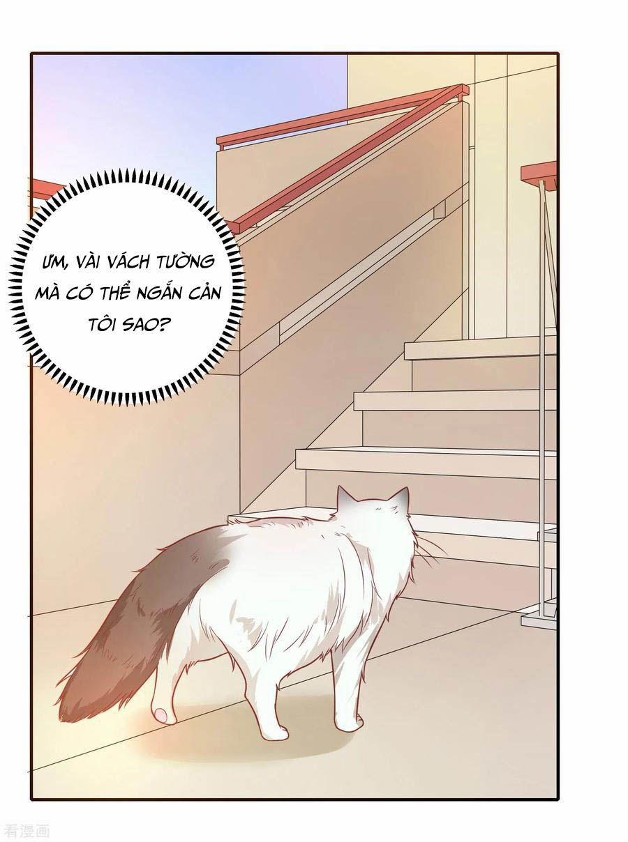 Hẹn Hò Siêu Tốc 27 trang 23