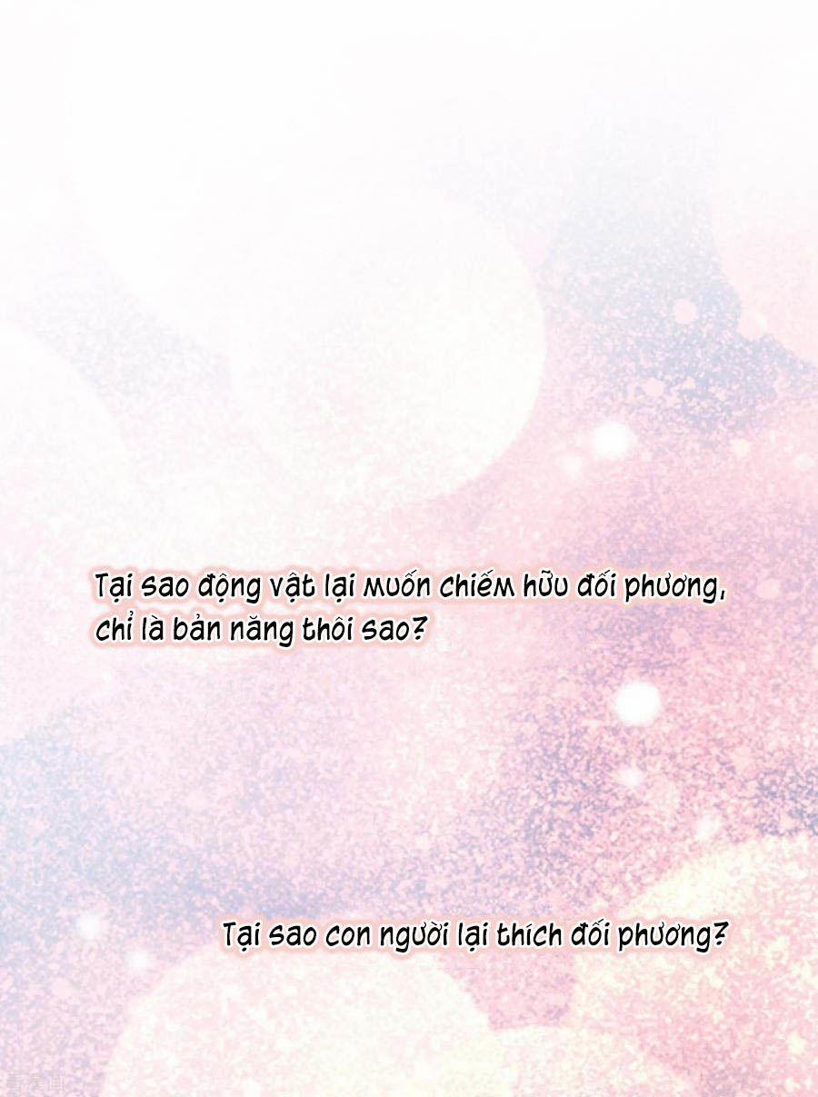 Hẹn Hò Siêu Tốc 34 trang 12