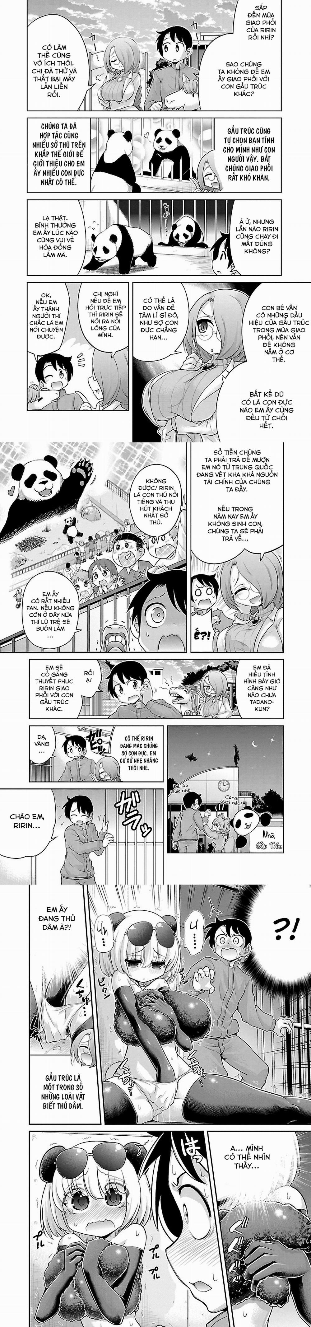 Hentai Zoo 2.0 Gấu trúc trang 2