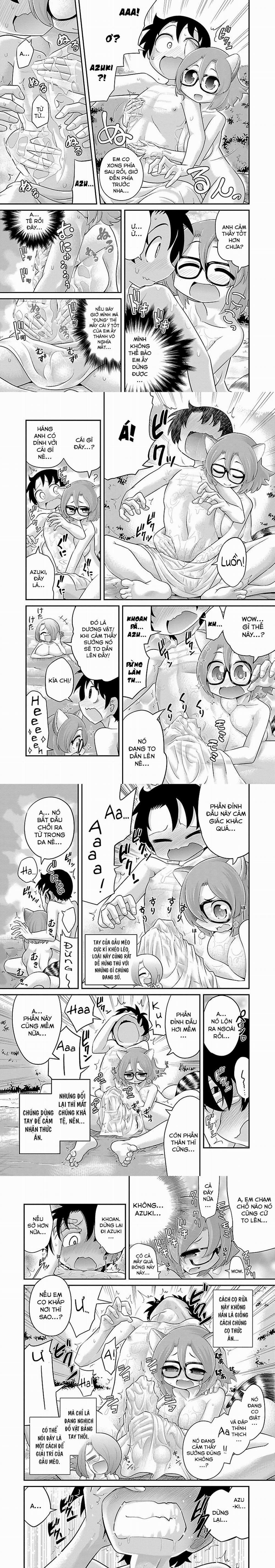 Hentai Zoo 5.0 Gấu mèo trang 3