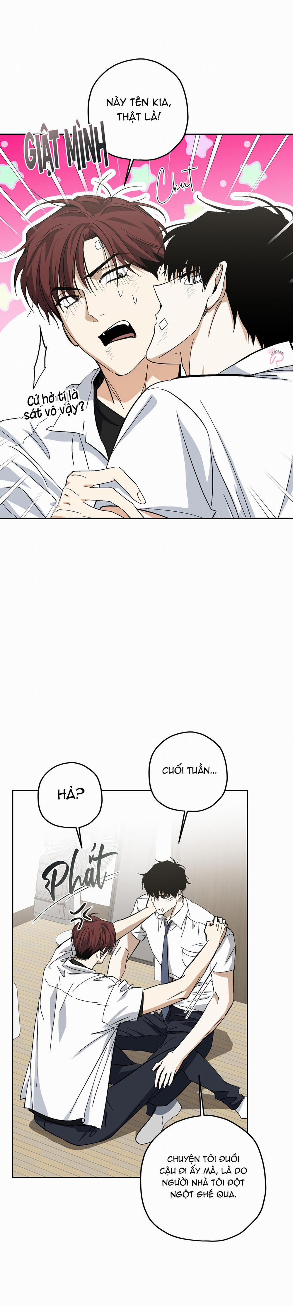 HHSB 8 trang 10