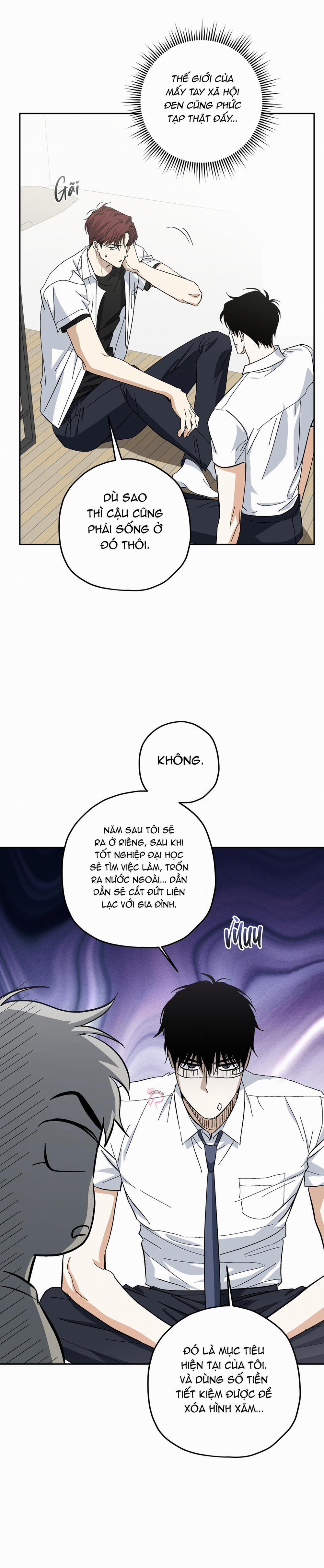 HHSB 8 trang 12