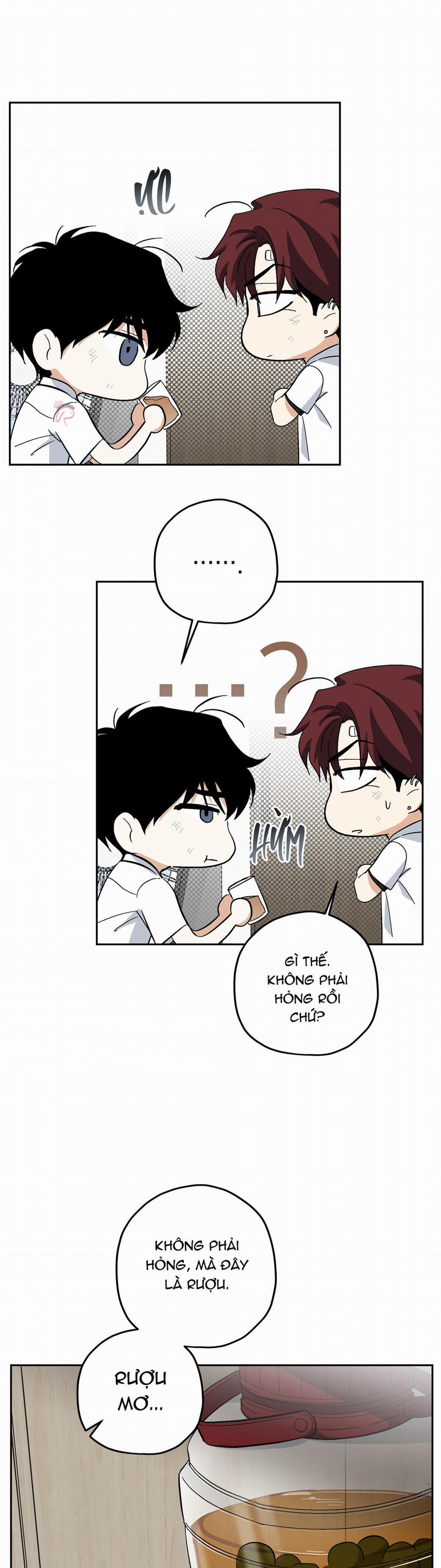HHSB 8 trang 17
