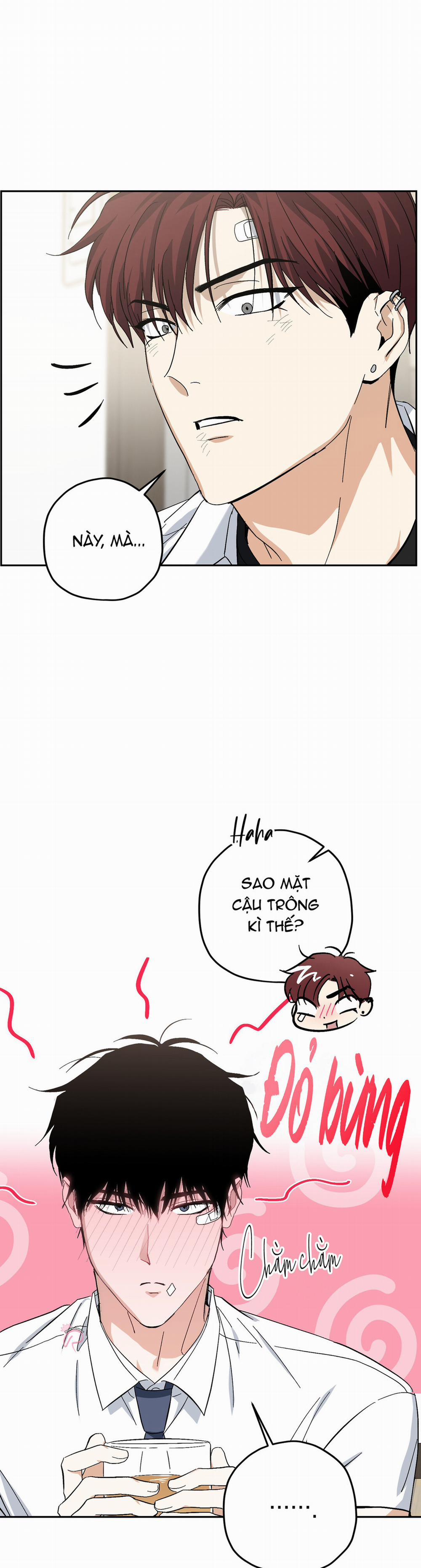 HHSB 8 trang 19