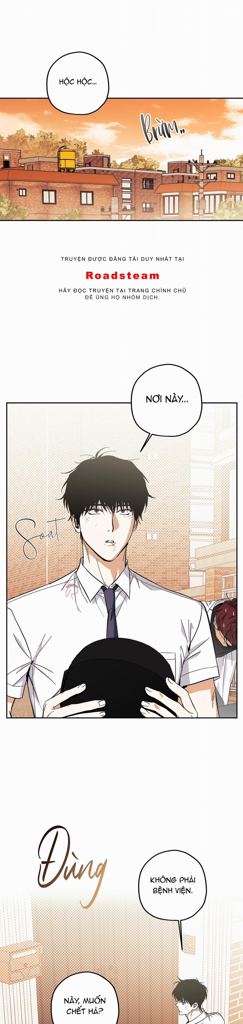 HHSB 8 trang 37
