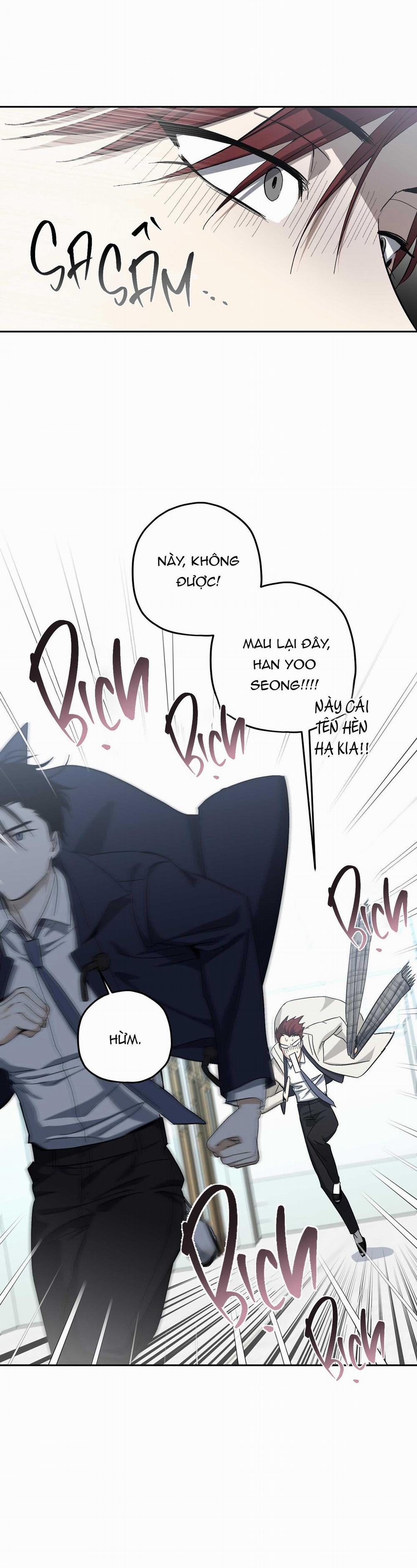 HHSB 9 trang 40