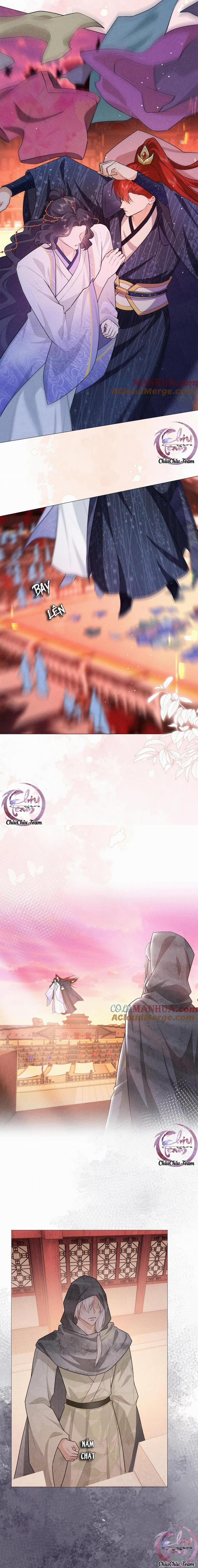 Hỉ Sự Của Đế Quân 10 trang 11