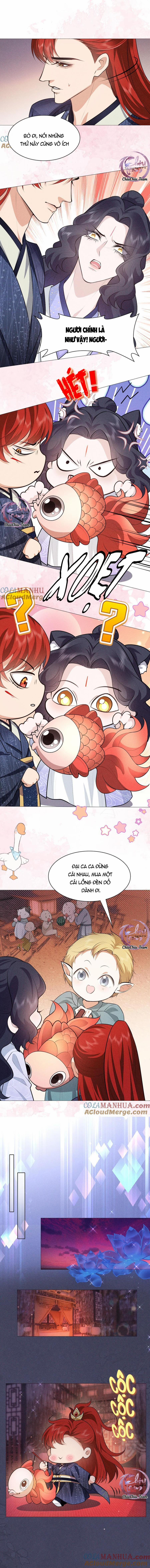 Hỉ Sự Của Đế Quân 11 trang 3