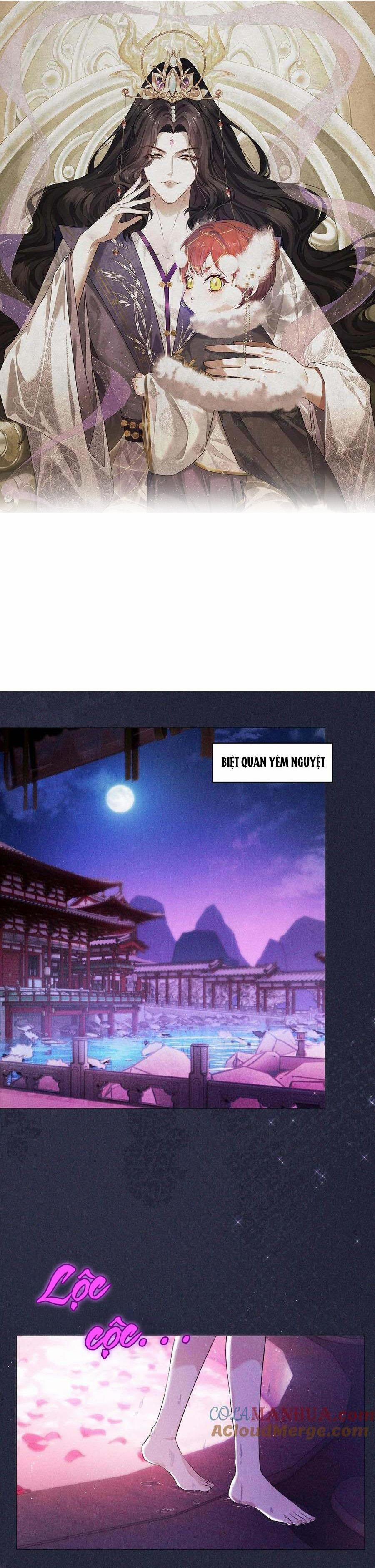 Hỉ Sự Của Đế Quân 12 trang 0